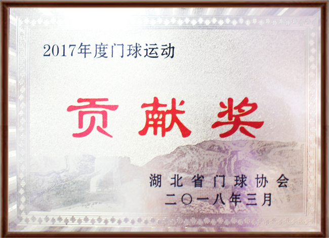 2017年度门球运动贡献奖.jpg