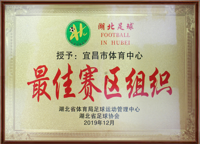 2019湖北足球♥佳赛区组织.jpg
