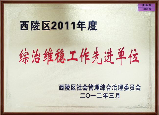 综治维稳工作先进单位.jpg