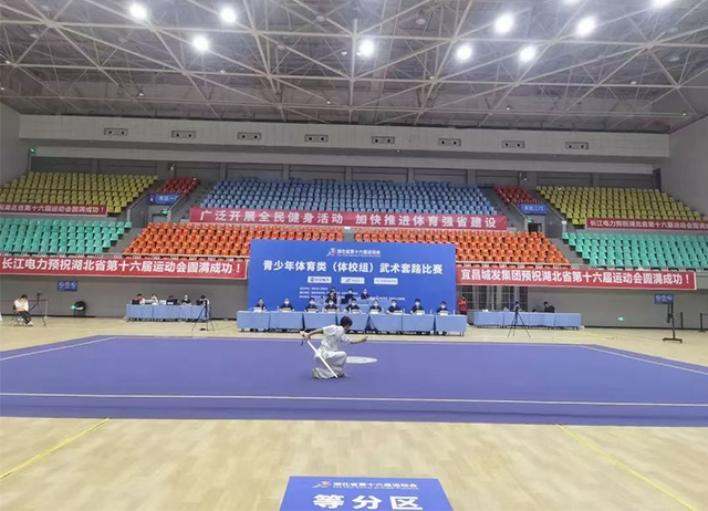 湖北省第十六届运动会青少年体育类（体校组）武术套路比赛.jpg